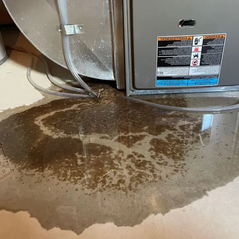 Pipe Burst and Leak Restoration in Ehrenberg, AZ